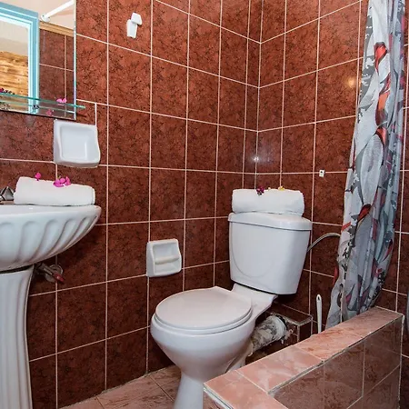 Apartament Lofos